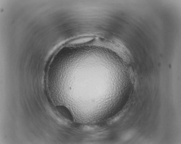 X0000065950346200603172005