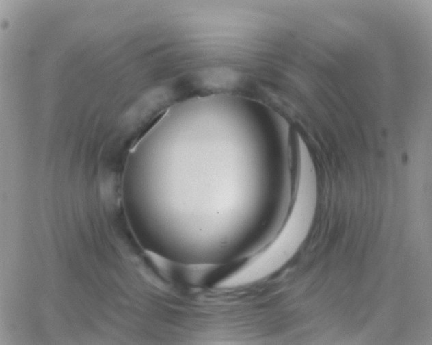 X0000065950428200603172004