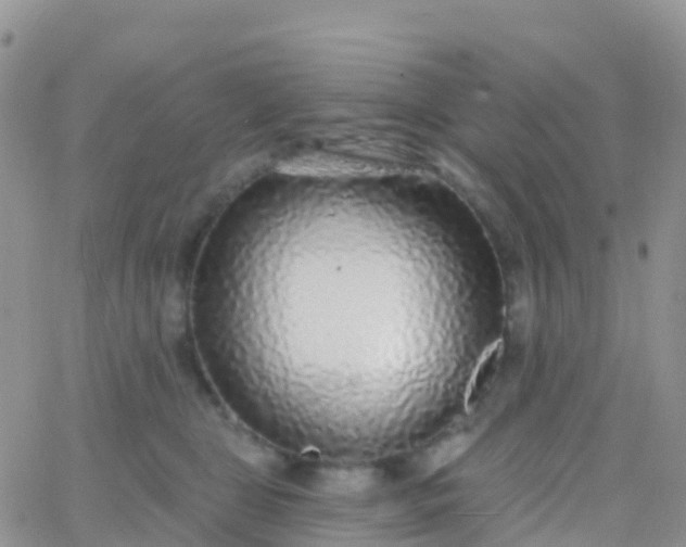 X0000065950469200603172004