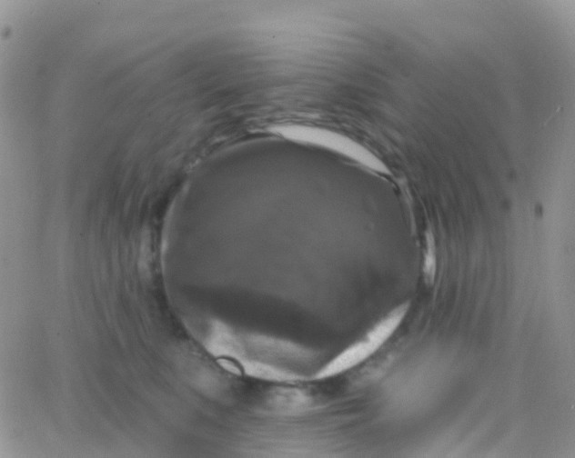 X0000065950519200603172002