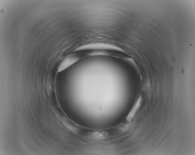 X0000065950566200603172002