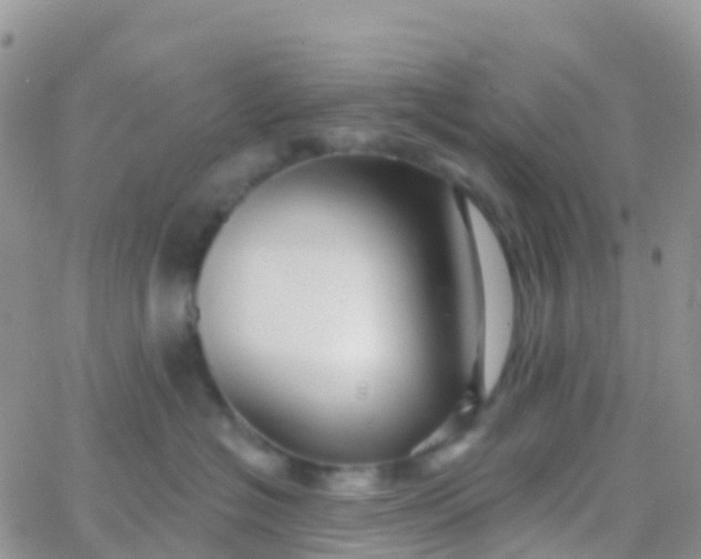X0000065950574200603172002