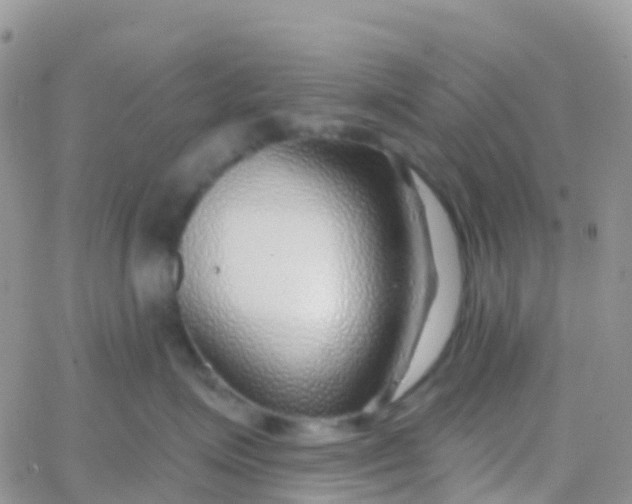 X0000065950623200603172001