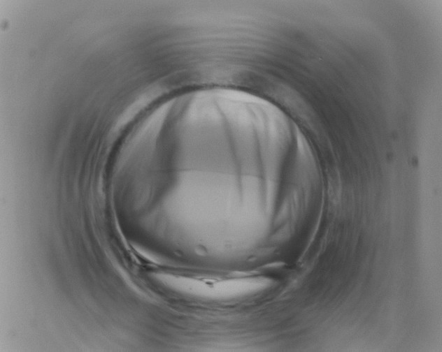 X0000065950674200603172000