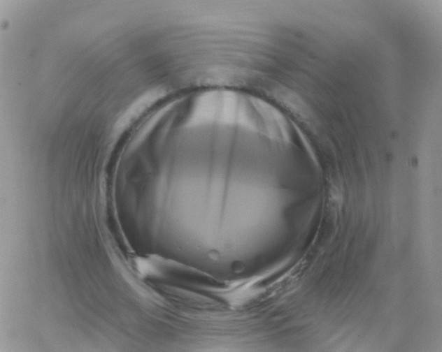 X0000065950678200603172000
