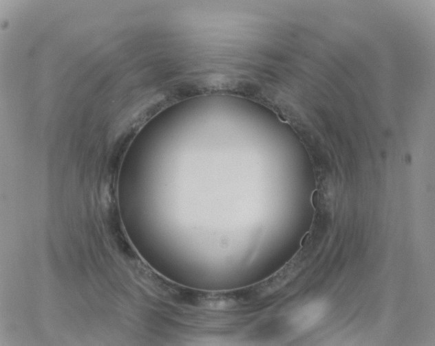 X0000065950746200603171959