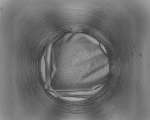 X0000065950748200603171959