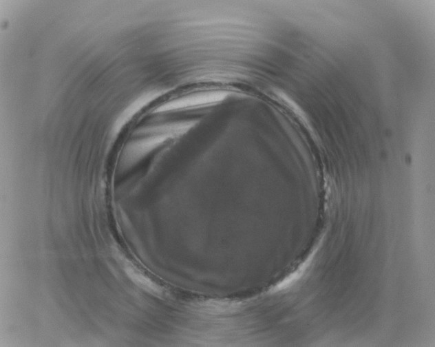X0000065950779200603171958