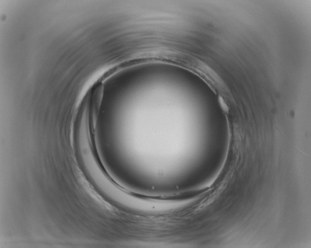 X0000065950788200603171958
