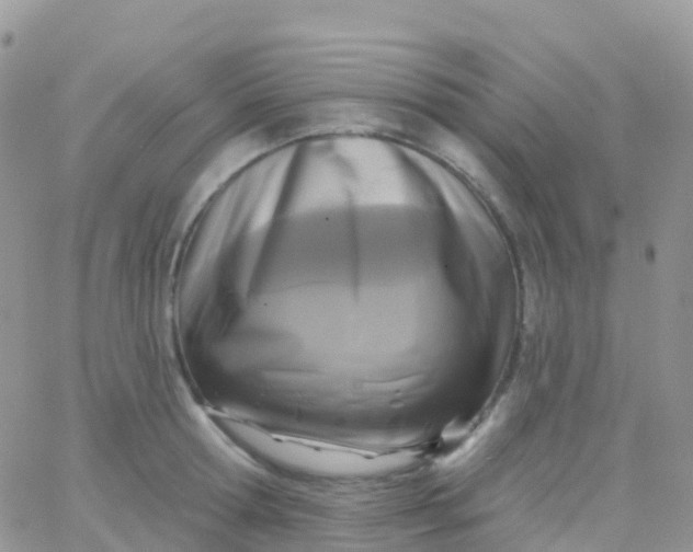 X0000065950802200603171958