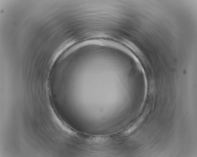 X0000065950806200603171958