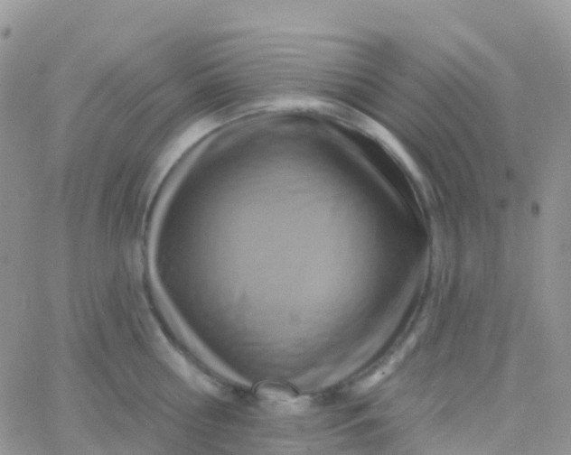 X0000065950810200603171958