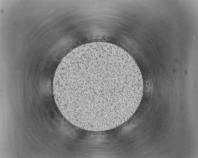 X0000065950820200603171957