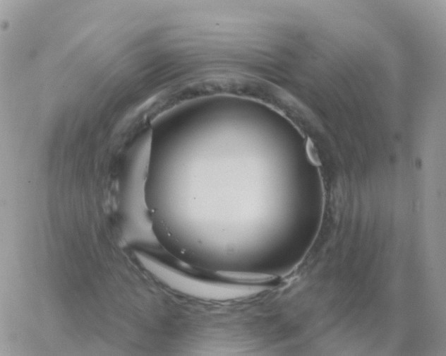 X0000065950822200603171957
