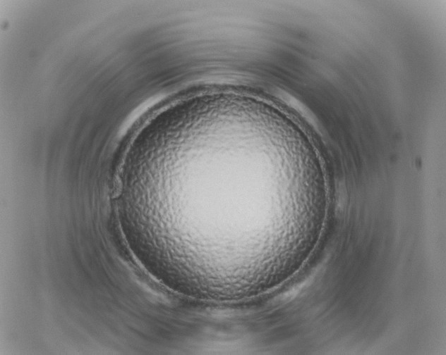X0000065950829200603171957