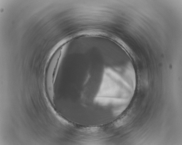 X0000065950853200603171957