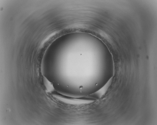 X0000065950872200603171957