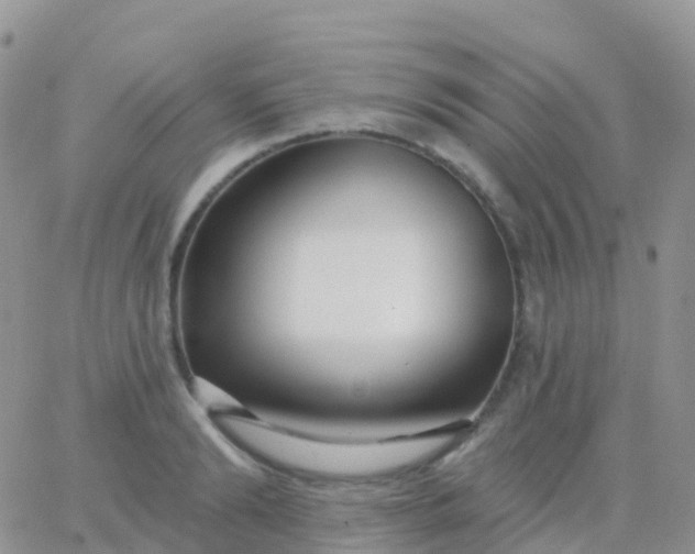 X0000065950894200603171956