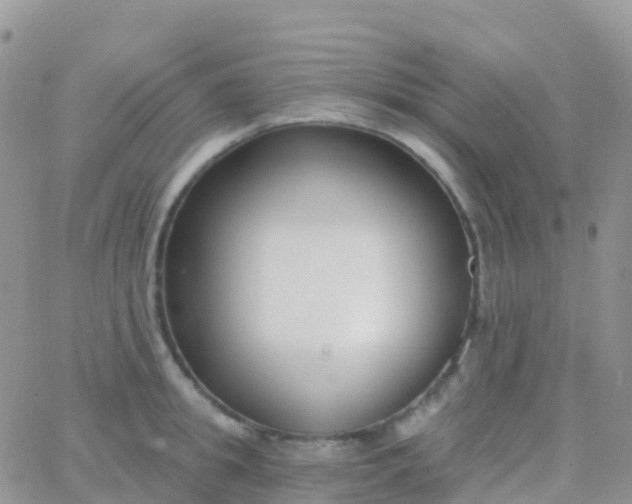 X0000065950949200603171956