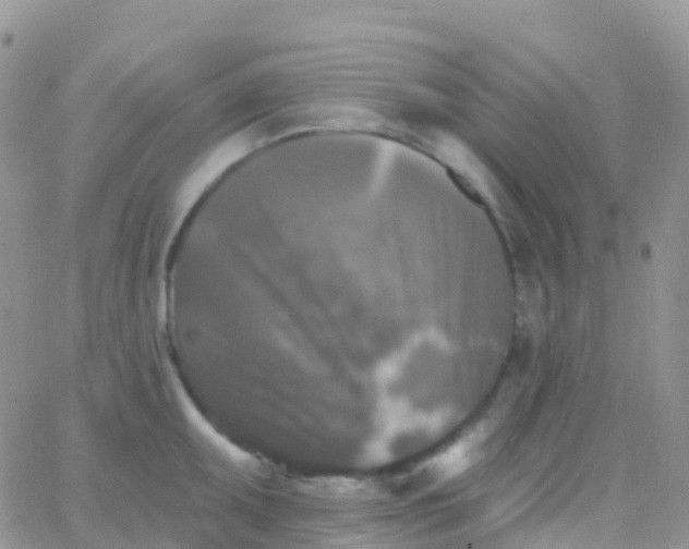 X0000065951095200603171953