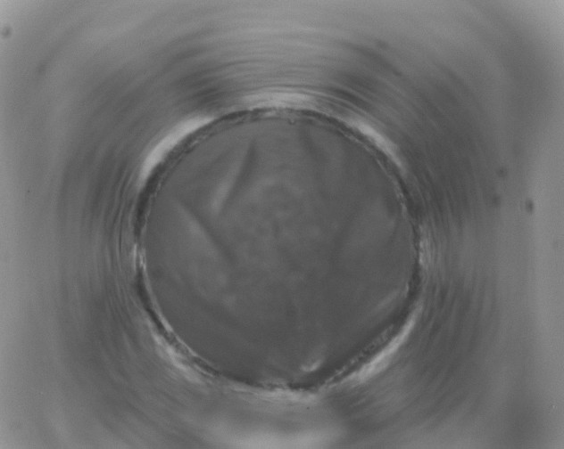 X0000065951117200603171952