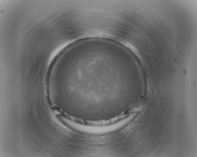 X0000065951120200603171952