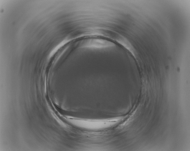 X0000065951127200603171953