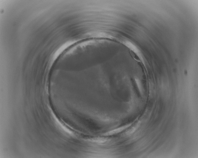 X0000065951141200603171953