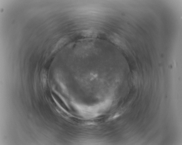 X0000065951154200603171952