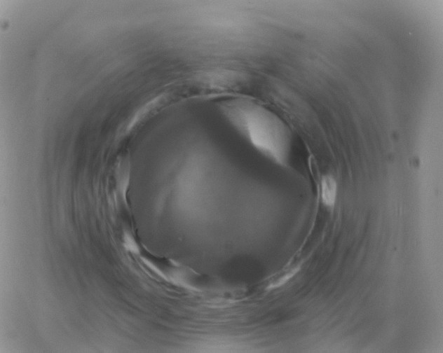 X0000065951155200603171952