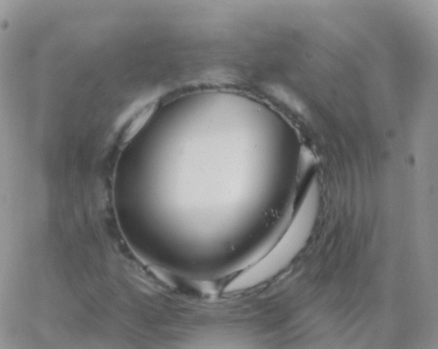 X0000065951160200603171952