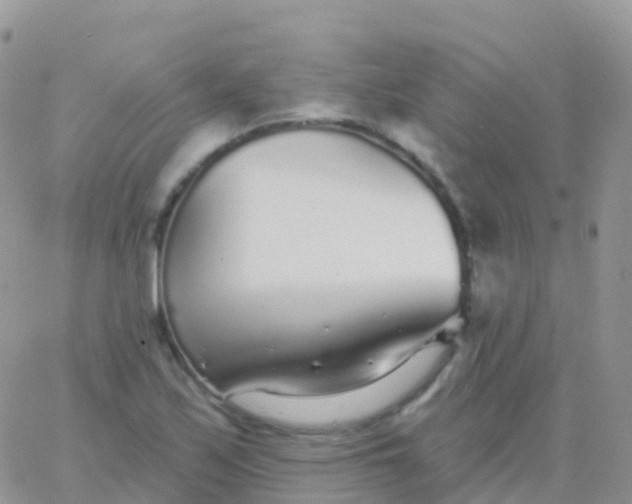 X0000065951171200603171952