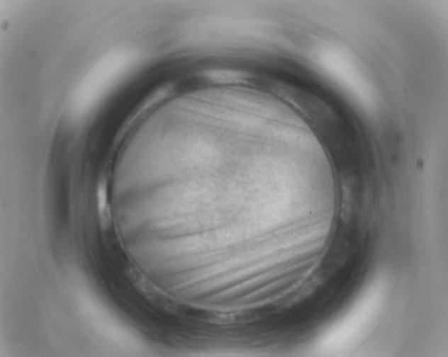 X0000065951198200603171951
