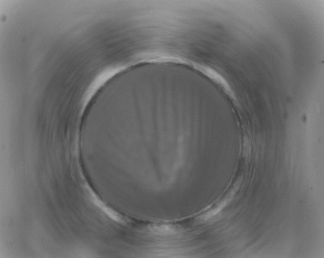 X0000065951231200603171951