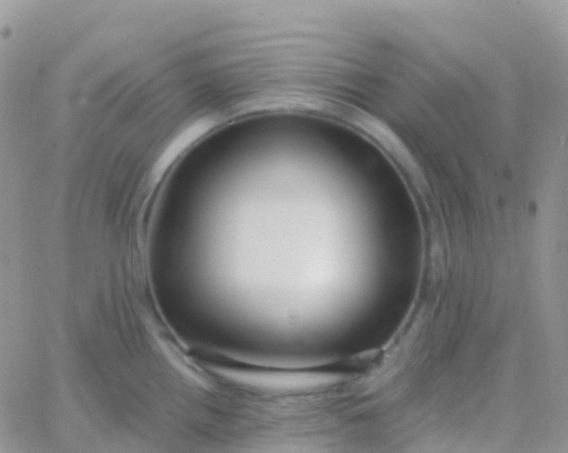 X0000065951242200603171951