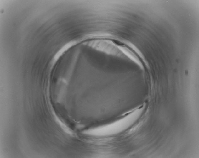 X0000065951245200603171951