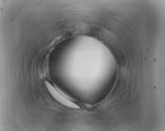 X0000065951250200603171951