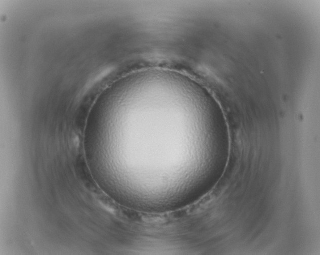 X0000065951302200603171949
