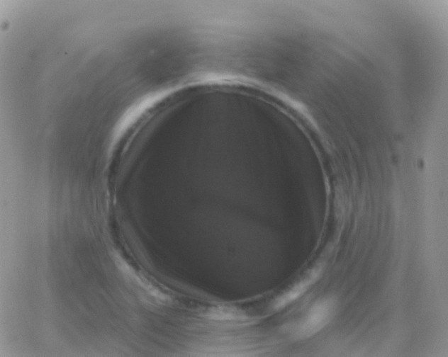 X0000065951319200603171949