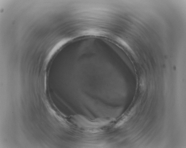 X0000065951323200603171949