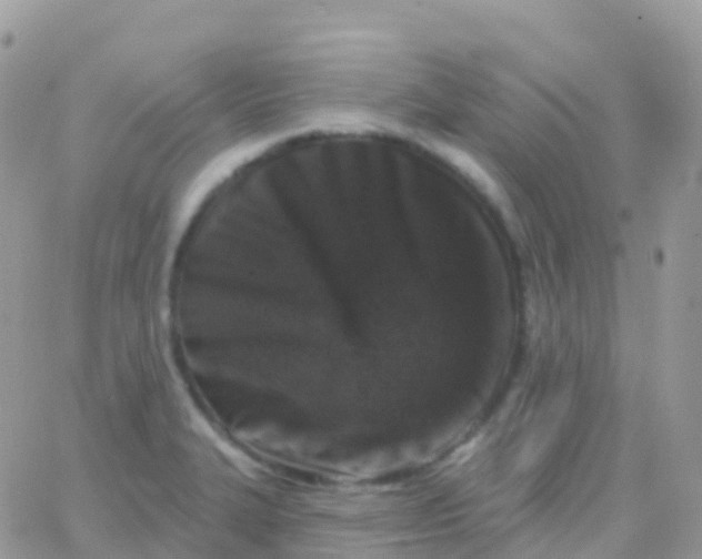 X0000065951327200603171950