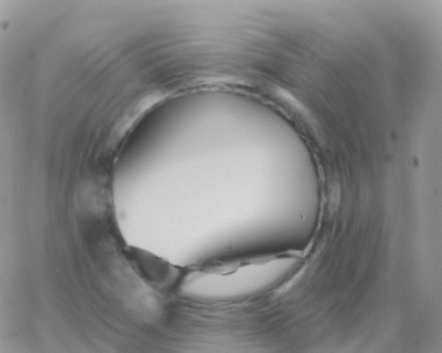 X0000065951361200603171949