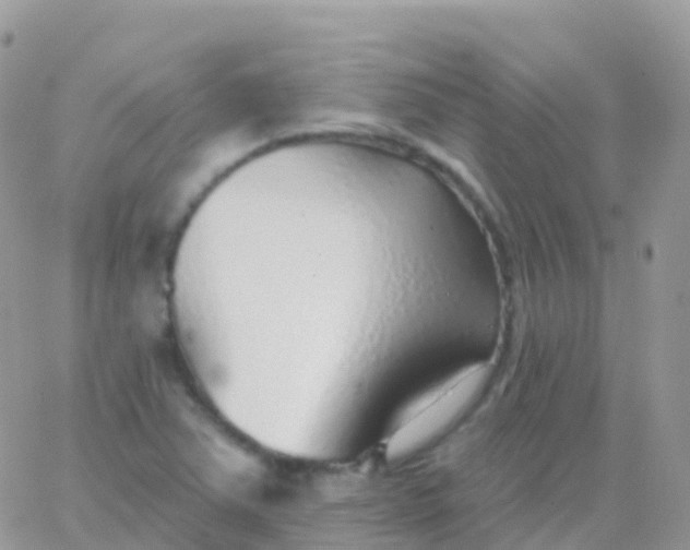 X0000065951363200603171949