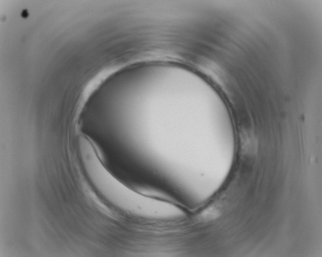 X0000065951371200603171949