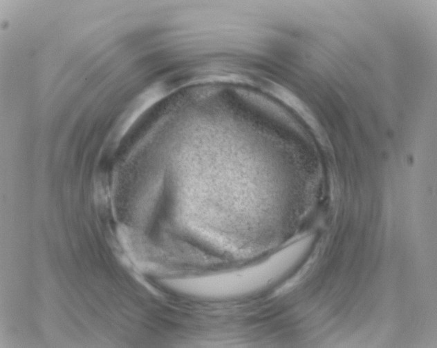 X0000065951377200603171948
