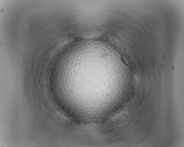 X0000065951393200603171947