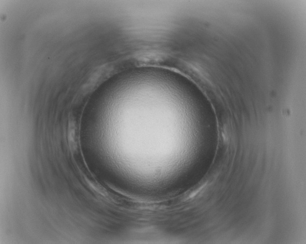 X0000065951396200603171948