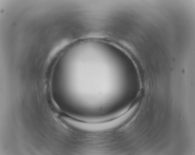 X0000065951406200603171948