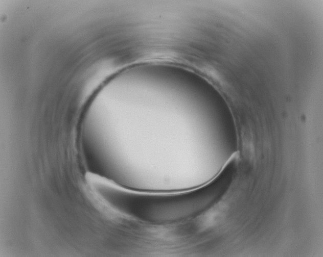 X0000065951422200603171948
