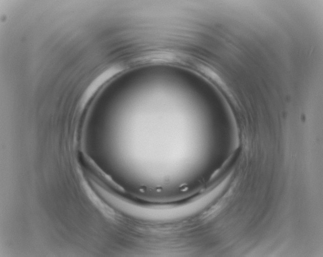 X0000065951426200603171948